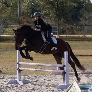 Meet your Posher, Savannah